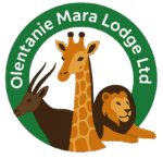 file 000000009b3461f4981e820eb5f83ce1